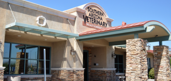 Tucson – Southwest Veterinary Surgical Service