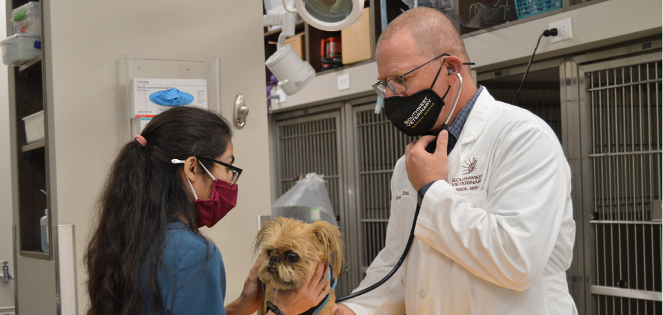 About Us – Southwest Veterinary Surgical Service